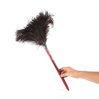ZRW Feather Duster, 14.56 Inch Natural Ostrich Reusable Cleaning Supplies, Eco-Friendly Wooden Handle, an Effective Dust Removal Tool