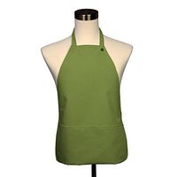 Adult Bib - Covered with Care Assorted Colors Available! (Pistachio)