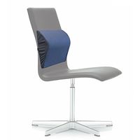 Lumbar Back Posture Cushion Chair Pillow for Lower Back