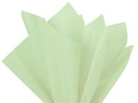 10ct *28 Colors* Tissue Paper for Gift Wrapping 20"x30" Solid Sheets Your Choice (Pale Mint Green) nfLG1839