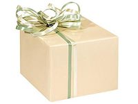 Solid Color Gloss Gift Wrap Paper - Ivory - 24 inches x 417 feet
