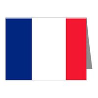 Note Cards (20 Pack) Flag of France