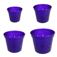 Slotted Clear Orchid Pots by rePotme - Growers Assortment (8 pots - 2 Each, Purple Amethyst)