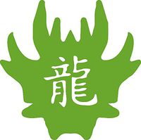 hBARSCI Zodiac Dragon Vinyl Decal - 5 Inches - for Cars, Trucks, Windows, Laptops, Tablets, Outdoor-Grade 2.5mil Thick Vinyl - Lime