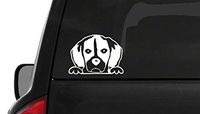 CustomDecal US Peeking Beagle (A26) Vinyl Decal Sticker Car/Truck Laptop/Netbook Window