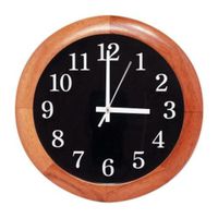 Speco Color Clock Camera 3.6mm Lens