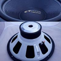 CT SOUNDS 18 Inch Car Subwoofer - Dual 2 Ohm Impedance, 1200W Maximum Power Capacity, Versatile & Powerful Bass, 3" Voice Coil, Rubber Surround for Car Stereo Sound System - Tropo 18 D2