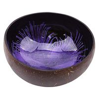 WWSHM Creative Natureal Coconut Bowl Ink Creative Ornament Storage Bowl Eco Friendly Soup Salad Noodle Storage Section Coconut Bowl (Color : Purple)