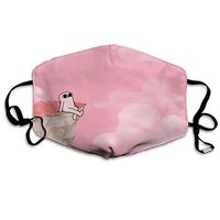 SSUJ7 Ketnipz On The Cliff Men Women Adjustable Earloop Mouth Guard Anti-Dust Washable Reusable Mouth Guard for Kids Teens Adults Anti Pollution,Anti-smog