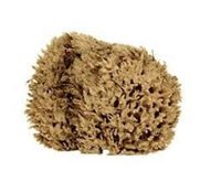 C.R. LAURENCE 1620 CRL Natural Organic Sponge