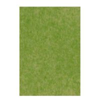 The Gift Wrap Company Solid Color Gift Tissue, 8 Sheet Pack-Moss Green