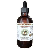 Dong Quai Alcohol-Free Liquid Extract, Organic Chinese Angelica (Angelica sinensis) Dried Root Glycerite Hawaii Pharm Natural Herbal Supplement 4 oz