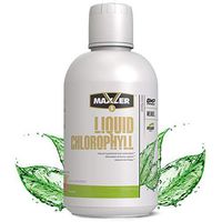 Maxler Organic Chlorophyll Liquid Mint Flavor - Internal Deodorant for Body Odor & Bad Breath Supplement - Natural Detox Liquid Chlorophyll - 15.2 fl oz