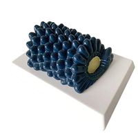 LXX Baculovirus Model Rabies Virus Anatomical Model Virus Structure Anatomy Biological Virus Medical Microbiology Teaching Aid