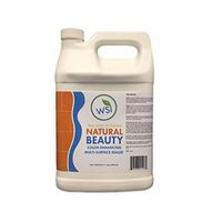 Wash Safe Industries WS-NBEAUT-1 Natural Beauty Sealer, 1 gal