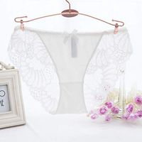 Lace Panties Underwear Women Cotton Briefs Transparent Panties Lingerie Calcinhas Thong G-String Tanga(White,M)