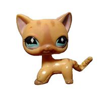 Meidexian888 Rare Littlest Pet Shop, LPS Cartoon Cream Tan Brown Heart Face Short Hair Cat