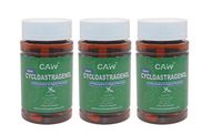 CAW Nano Cycloastragenol | 10Mg 30Enteric-Coated Capsules 3bottles(90caps in Total)