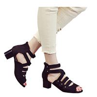 Cenglings Women Peep Toe Strappy Zipper Hollow Out Sandals Low Chunky Heel Square Heel Pumps Breathable Plus Size Rome Shoes(Black,35)