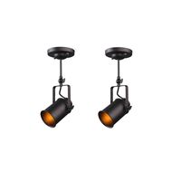 FRIDEKO Home Industrial Vintage Ceiling Spotlight - 2 Pcs Retro Loft Style Adjustable Ceiling Lamp 1 Spot Lighting for Restaurant Coffee Shop Hotel