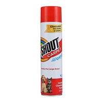 Shout Carpet Aerosol Odor Spray with OXY Power | Completely Tough Urine Stains & Prevents Remarking | for Large Areas Foaming Stain Remover, 2 Pack, 2 Count