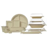 Your Green 2 Go YG2G-SQ510 Disposable Tableware Designer Square Plate, 10" Length x 10" Width (Case of 250)