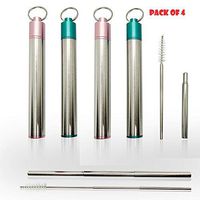 Collapsible Retractable Stainless-Steel Straws (2 blue & 2 pink)