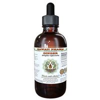 Ginger Alcohol-Free Liquid Extract, Organic Ginger (Zingiber officinale) Dried Root Glycerite Hawaii Pharm Natural Herbal Supplement 4 oz