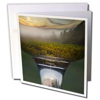 Wine glass, Vineyard in Riedel Oregon Pinot Noir - Greeting Cards, 6 x 6 inches, set of 12 (gc_93821_2)