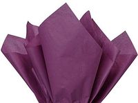 Plum Tissue Paper Squares, Bulk 24 Sheets, Premium Gift Wrap and Art Supplies for Birthdays, Holidays, or Presents by Feronia packaging, Large 20 Inch x 30 Inch