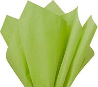 Flexicore Packaging | Aloe Green Gift Wrap Tissue Paper | Size: 15 Inch X 20 Inch | Count: 10 Sheets | Color: Aloe Green | DIY Craft, Art, Wrapping, Crepe, Decorations, Pom Pom, Packing & Party
