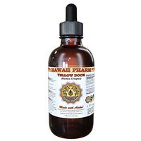 Yellow dock (Rumex crispus) Liquid Extract 4 oz