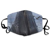 Face Mask Whale Shark Mouth Stylish Cycling Half Face Earloop Dust Mask for Men