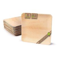 Naturally Chic Compostable Biodegradable Disposable Plates - Palm Leaf 10” Square Small Dinnerware Set - Eco Friendly Alternative - Party, Wedding, Event Plates (25 Pack)