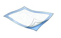 Durasorb Underpads Case of 200/23 x 24 in. pad