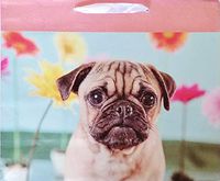 Pug Puppy Dog Design Premium Gift Bag - Celebrate Party Cute Cool Trendy Unique - All Occasion, Birthday, Christmas Holiday
