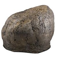 Xtreme Life RockCam Outdoor Hidden Camera and DVR with Remote Control