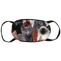 NiYoung Cat Kitten Lovely Anti-Dust Earloop Mouth Cover for Women Men, Pollen Cycling Painting Half Face Mouth Cover - Adjustable Elastic Band