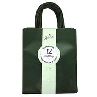 12CT Medium Evergreen Biodegradable, Food Safe Ink & Paper, Premium Quality Paper (Sturdy & Thicker), Kraft Bag with Colored Sturdy Handle (Medium, Evergreen)