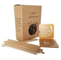 Kraft Paper Straws 300 Biodegradable Drinking Straws with 2 Bamboo Wood Cup Coasters 300 per Box Eco Friendly Environmental BY MELMASCA