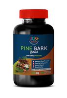 antioxidant Immune Booster - Pine BARK Extract 100 MG - Pure and Potent Ingredients - Pine nut Oil Siberian - 1 Bottle 90 Capsules
