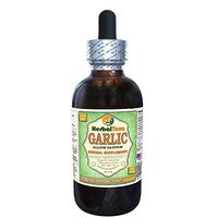Garlic (Allium Sativum) Glycerite, Organic Dried Alcohol-Free Liquid Extract (Brand Name: HerbalTerra, Proudly Made in USA) 4 fl.oz (120 ml)
