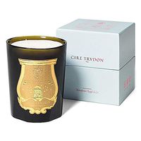 Cire Trudon Ernesto Candle (28 oz Intermezzo Candle - Leather and Tobacco Fragrance)