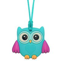 Munchables Owl Sensory Chew Necklace - Sensory Chewable Jewelry for Girls (Baby Owl - Aqua)