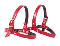 High-Heeled Shoes with Straps,Anti-Fall,Strapped Buckles-F2