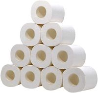 Toilet Paper White Bathroom Tissue Family Roll Paper Super Soft Toilet Paper Bulk (White 10Rolls)