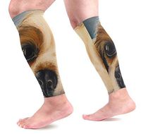 LEVEIS Cavalier King Charles Spaniel Dog Calf Compression Sleeves 1 Pair, Leg Performance Support for Shin Splint Calf Pain Relief Men & Women Guards Sleeves for Running Cycling
