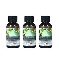 Hosley Aromatherapy Premium Bergamot White Tea Highly Scented Warming Oil Bottles Set of 3 55 Milliliter 1.86 Ounces Ideal Gift for Parties Weddings Spa Reiki Meditation Bathroom O9