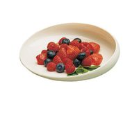 GripWare Plastic Scooper Plate