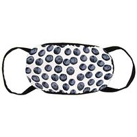 Blueberry Fruit Dustproof Earloop Face Covers for Women Men, Pollen Climbing Climbing Half Face Mouth Cover - Anti Allergy Face and Nose Cover
